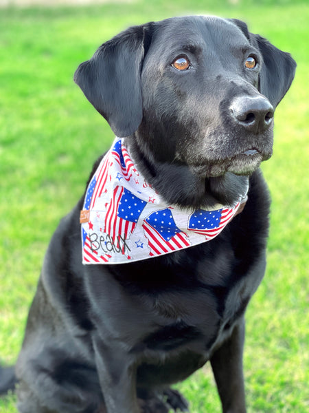Market Summer Bandanas | 4th of July Stars