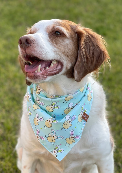 Market Spring Bandanas | Lovely Hearts