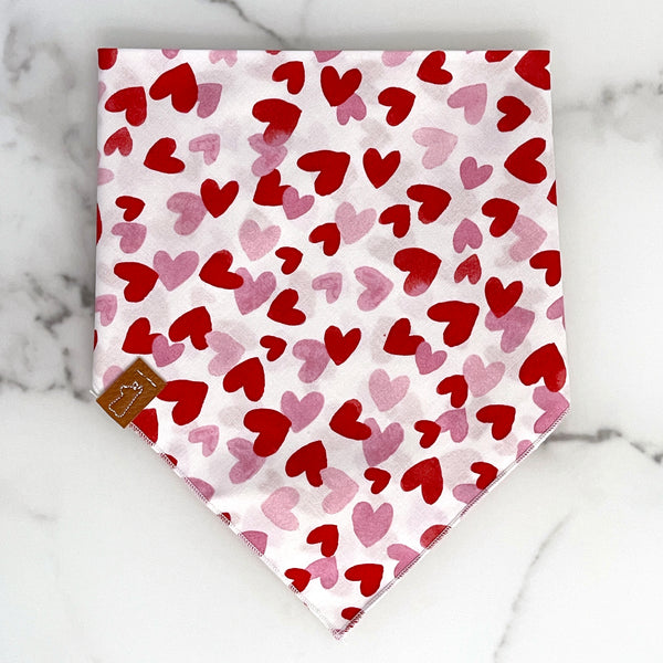 Market Spring Bandanas | Hearts