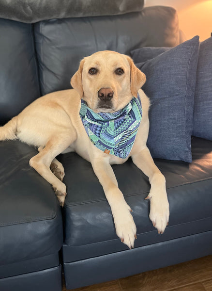 Market Bandanas | Blue & Grey Gingham