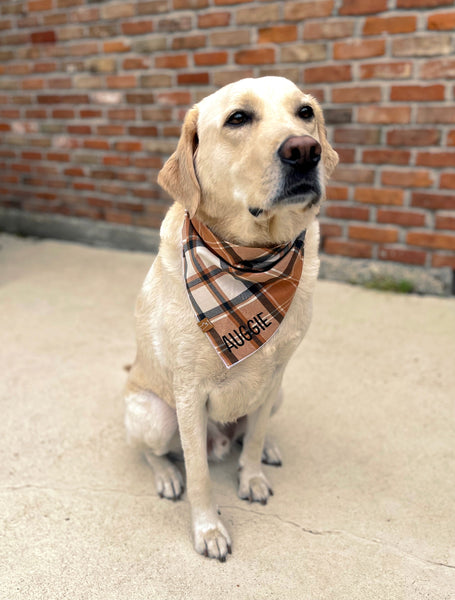 Market Fall Bandanas | Fall Plaid