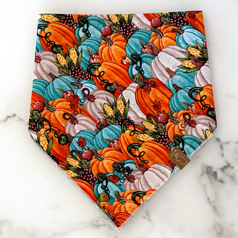 Market Fall Bandanas | Pumpkin Patch