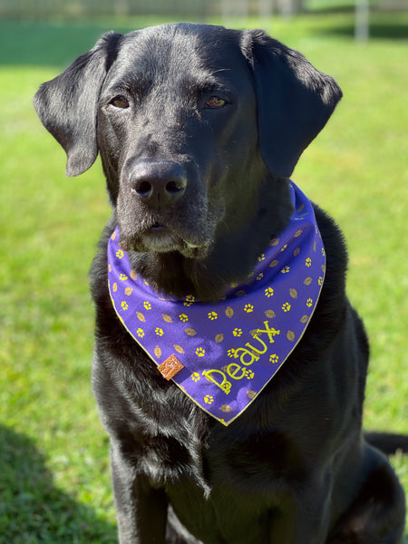 Market Spring Bandanas | Mardi Gras Beads