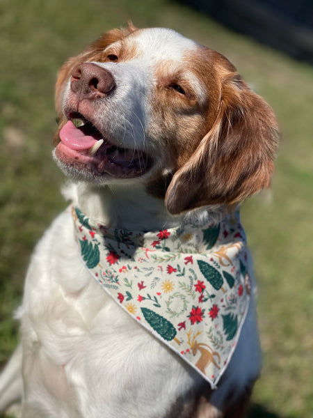 Market Winter Bandanas | Christmas Polka-Dot Buffalo