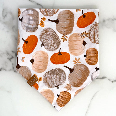 Market Fall Bandanas | Fall Pumpkins