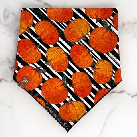 Market Fall Bandanas | Pumpkin Stripes