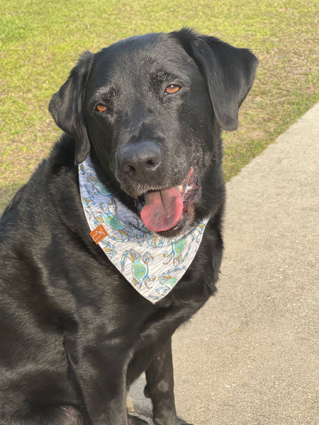 Market Bandanas | Retro Daisies