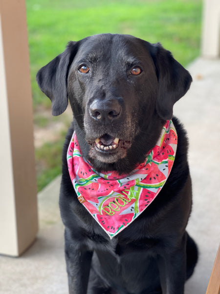 Market Bandanas | Strawberry Fields