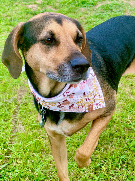 Market Bandanas | Boho Muted Floral