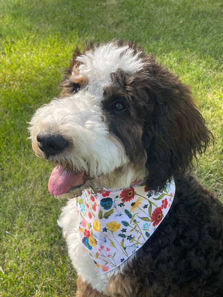 Market Bandanas | Small Lavender Floral