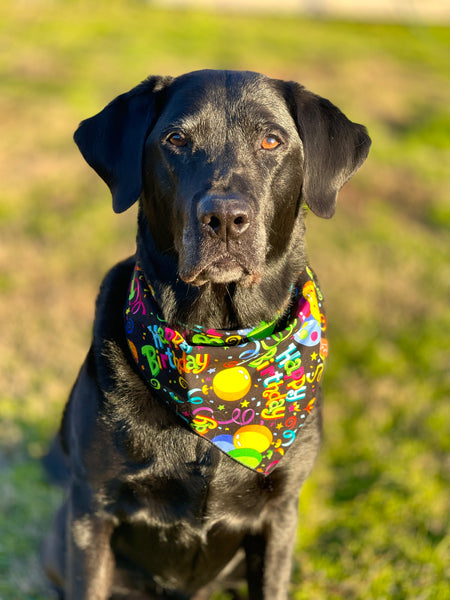 Market Bandanas | Happy Birthday