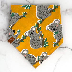 Market Bandanas | Koala