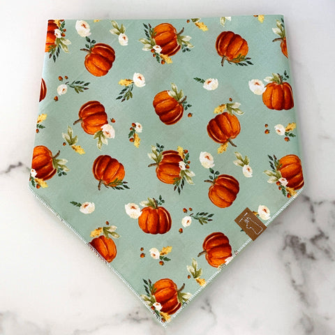 Market Fall Bandanas | Mint Pumpkin Tumble