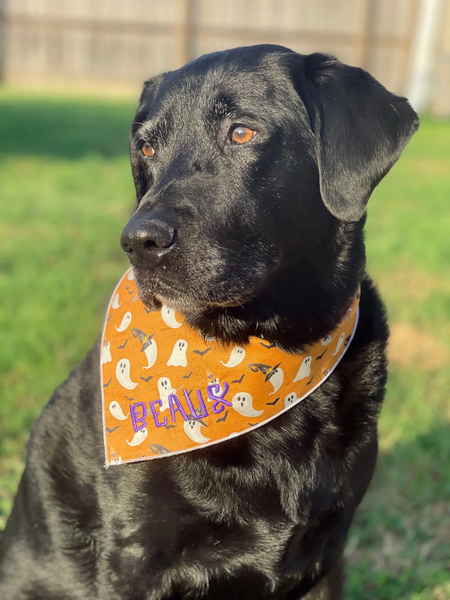 Market Fall Bandanas | Halloween Geometric Pumpkins