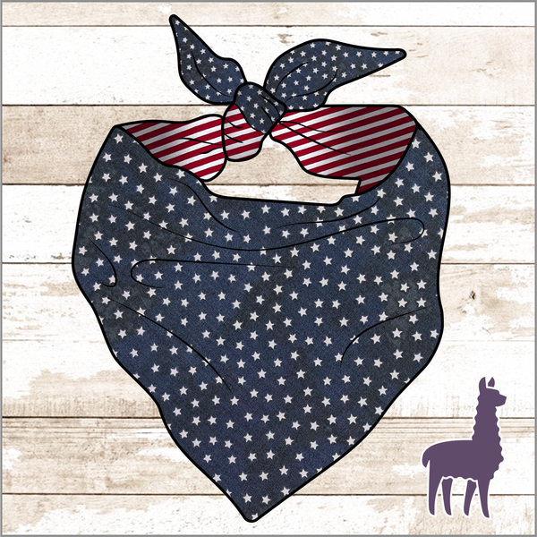 Stars & Stripes Bandana | REVERSIBLE