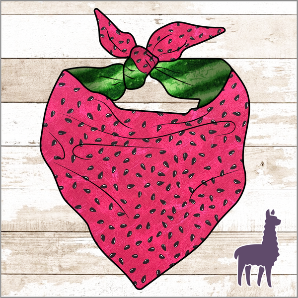 Watermelon Bandana | REVERSIBLE